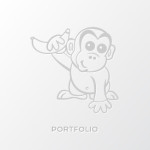 portfolio-size